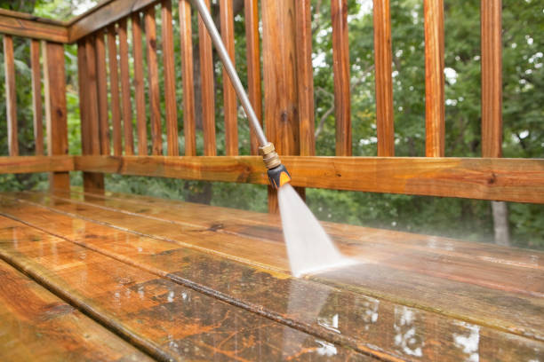 Best Pressure Washing Siding  in Coon Rapids, IA