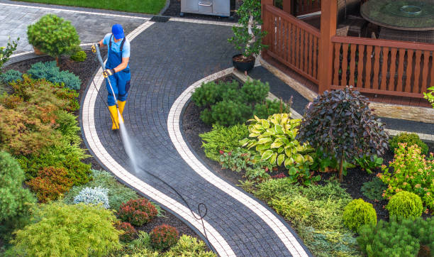 Best House Pressure Washing  in Coon Rapids, IA
